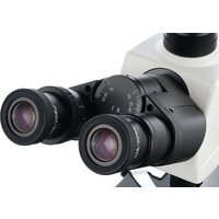 Микроскоп Levenhuk MED D45T LCD тринокулярный 74011 - Изображение №6 — Chaika Market