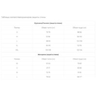 Защита спины Dainese Auxagon Vest 4876018 (M, черный) - Изображение №2 — Chaika Market