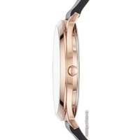 Наручные часы Skagen SKW1102 - Изображение №2 — Chaika Market