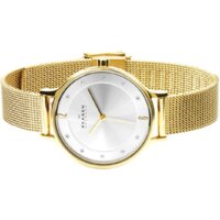 Наручные часы Skagen SKW2150 - Изображение №3 — Chaika Market