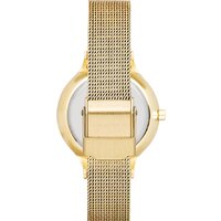 Наручные часы Skagen SKW2150 - Изображение №5 — Chaika Market