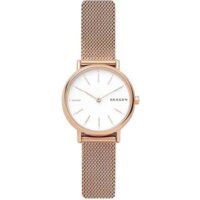 Наручные часы Skagen SKW2694 — Chaika Market