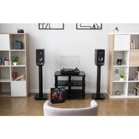 Полочная акустика Radiotehnika S-20N - Изображение №16 — Chaika Market