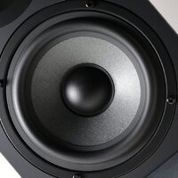 Полочная акустика Radiotehnika S-20N - Изображение №13 — Chaika Market