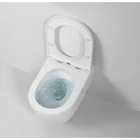 Унитаз подвесной Berges Wasserhaus Tornas 043328 - Изображение №12 — Chaika Market