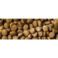 Сухой корм для кошек Pro Plan Original Adult OptiRenal с курицей 10 кг - Изображение №5 — Chaika Market