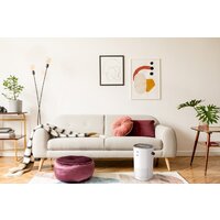 Очиститель воздуха Funai Yakata HAP-Y300S01W - Изображение №7 — Chaika Market