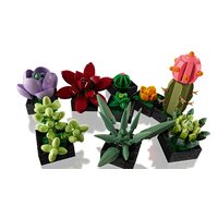 Конструктор LEGO Creator Expert 10309 Суккуленты - Изображение №6 — Chaika Market