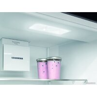 Холодильник Liebherr ICNf 5103 Pure NoFrost 5103-22001 - Изображение №12 — Chaika Market
