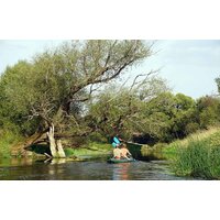 Надувная лодка Вольный ветер Ермак 450 (оранжевый) - Изображение №6 — Chaika Market