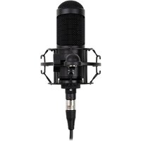 Проводной микрофон Radiotehnika MCD-01 — Chaika Market