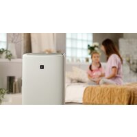 Климатический комплекс Sharp KI-N52EU-L - Изображение №14 — Chaika Market