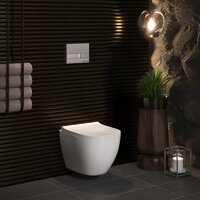 Унитаз подвесной Berges Wasserhaus Atom Line 410 042447 (с кнопкой) - Изображение №8 — Chaika Market