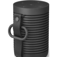 Беспроводная колонка Bang & Olufsen Beosound Explore (черный) - Изображение №3 — Chaika Market