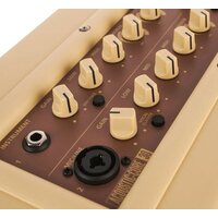 Комбоусилитель Blackstar Acoustic Core 30 - Изображение №10 — Chaika Market