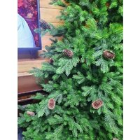 Ель National Tree Company Грация Премиум ГР/ПР-230 2.3 м - Изображение №9 — Chaika Market