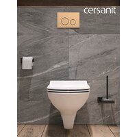 Унитаз подвесной Cersanit Carina New Clean On с инстал. Link Pro (с кнопкой Twins 63524 золото матовый) - Изображение №16 — Chaika Market