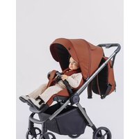 Коляска прогулочная «книга» Rant Golf RA101 (maroon brown) - Изображение №2 — Chaika Market