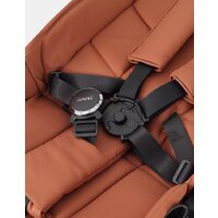 Коляска прогулочная «книга» Rant Golf RA101 (maroon brown) - Изображение №30 — Chaika Market