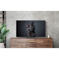 OLED телевизор Samsung OLED 4K S90C QE77S90CATXXH - Изображение №4 — Chaika Market