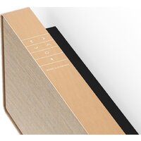 Саундбар Bang & Olufsen Beosound Stage (золотистый) - Изображение №4 — Chaika Market