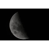 Объектив Nikon NIKKOR Z 800mm f/6.3 VR S - Изображение №25 — Chaika Market