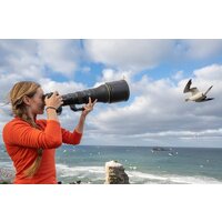 Объектив Nikon NIKKOR Z 800mm f/6.3 VR S - Изображение №17 — Chaika Market