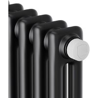 Стальной трубчатый радиатор Royal Thermo Insignia VC2180 - 08 секций RAL9005m - Изображение №3 — Chaika Market