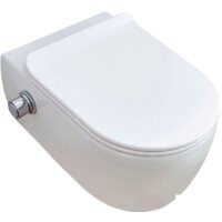 Унитаз подвесной SSWW CT2039V-B — Chaika Market