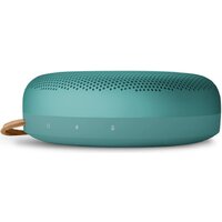 Беспроводная колонка Bang & Olufsen Beosound A1 3nd Gen (eucalyptus green) - Изображение №2 — Chaika Market