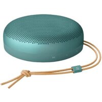 Беспроводная колонка Bang & Olufsen Beosound A1 3nd Gen (eucalyptus green) — Chaika Market