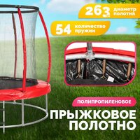 Батут Sundays Favorite Premium 10FT (красный, с сеткой, с лестницей) - Изображение №3 — Chaika Market