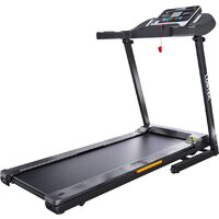 Электрическая беговая дорожка DFC Longtek T-X510G — Chaika Market
