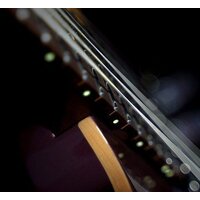 Электрогитара Cort G300 Pro VVB - Изображение №4 — Chaika Market