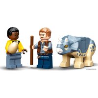 Конструктор LEGO Jurassic World 76940 Скелет тираннозавра на выставке - Изображение №6 — Chaika Market