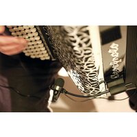 Комплект проводных микрофонов Prodipe AL21 Romanelli Accordion - Изображение №3 — Chaika Market