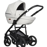 Универсальная коляска Riko Basic Aicon Ecco (2 в 1, 02) — Chaika Market