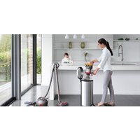 Пылесос Dyson Big Ball Multifloor 2+ - Изображение №5 — Chaika Market