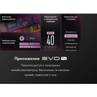 Телевизор Evo TV 32 Pink TD0055865RU - Изображение №8 — Chaika Market