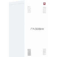 Отопительный котел Лемакс Газовик АОГВ-11.6 — Chaika Market