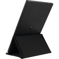 Портативный монитор ASUS ZenScreen MB165B - Изображение №3 — Chaika Market