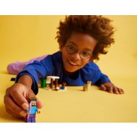 Конструктор LEGO Minecraft 21251 Экспедиция Стива в пустыню - Изображение №9 — Chaika Market