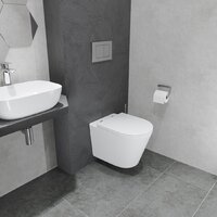 Унитаз подвесной Lauter Longer 2110822 + GROHE Rapid SL 38772001 с кнопкой (прямоугольная, хром) - Изображение №15 — Chaika Market