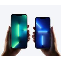 Смартфон Apple iPhone 13 Pro Max 128GB Восстановленный by Breezy, грейд A (альпийский зеленый) - Изображение №4 — Chaika Market