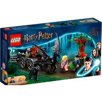 Конструктор LEGO Harry Potter 76400 Карета и фестралы Хогвартса — Chaika Market
