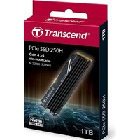 SSD Transcend 250H 1TB TS1TMTE250H - Изображение №4 — Chaika Market