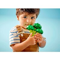Конструктор LEGO Duplo 10982 Трактор для перевозки овощей и фруктов - Изображение №6 — Chaika Market
