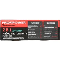  Profipower ProfiSet-2D20 (воздуходувка, цепная пила, 2 АКБ) - Изображение №5 — Chaika Market