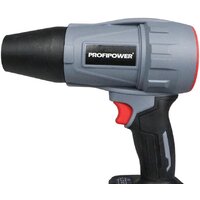  Profipower ProfiSet-2D20 (воздуходувка, цепная пила, 2 АКБ) - Изображение №17 — Chaika Market