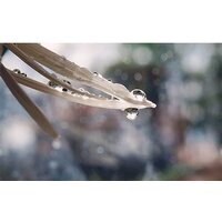 Объектив Lensbaby Velvet 56 для Nikon F - Изображение №10 — Chaika Market